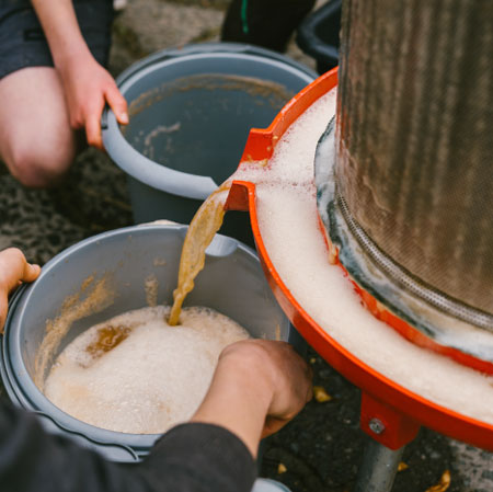 Pressage de pommes : le jus coule dans un seau.